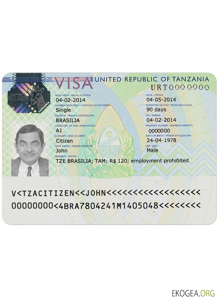 Visa TANZANIE template